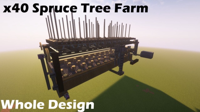 Featured image of x40 Spruce Tree Farm