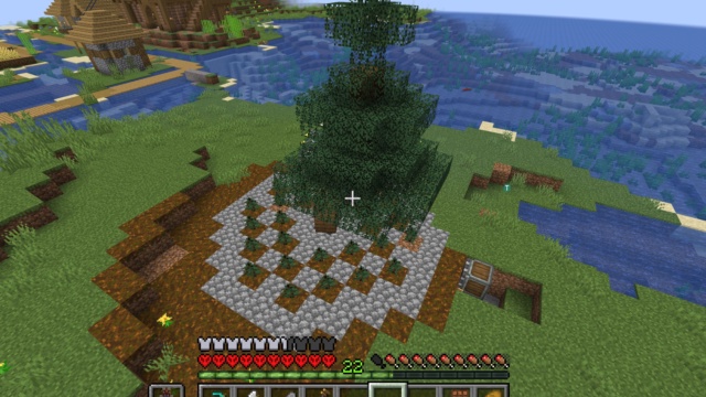 Featured image of Simple Tree Farm